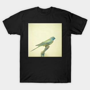 Bird Study #3 T-Shirt